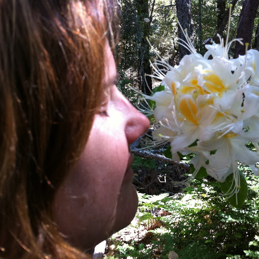 Amy Lambert Photo 14