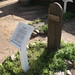 Jim Robinson Photo 27
