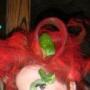 Hattie Johnson Photo 17