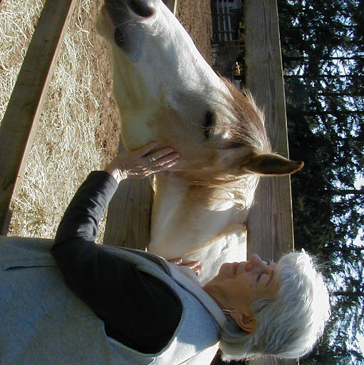Sharon Dougherty Photo 15