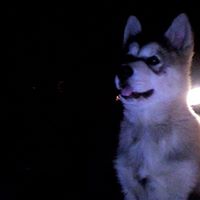 Max Weiss Photo 9