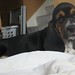 Wilma Male Photo 3