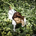Jessica Hyde Photo 15