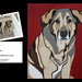 Vicki Kenyon Photo 7