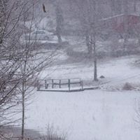 William Swafford Photo 28