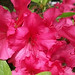 Barbara Woodruff Photo 13