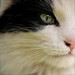 Catherine Burt Photo 12