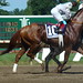 Wayne Haskell Photo 8