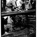 Robin Milne Photo 7