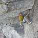Jason Kruk Photo 13
