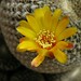 Marc Bloom Photo 18