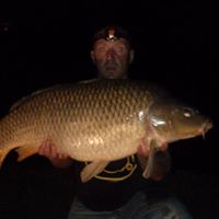 Mark Naylor Photo 16