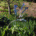 Steve Blaylock Photo 13