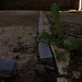 Mary Embleton Photo 9
