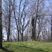 David Culver Photo 31