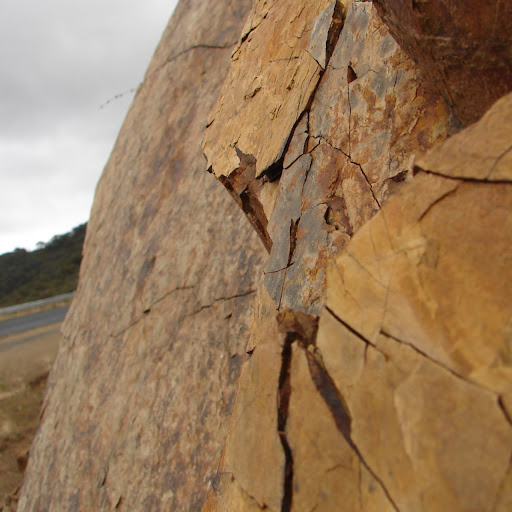 Alvin Stone Photo 22