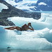 William Fournier Photo 25