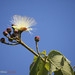 Jay Thorn Photo 7
