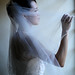 Crystal Andrews Photo 12