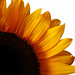 Barbara Blank Photo 9