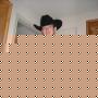 Brad Drake Photo 14