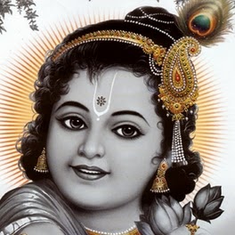 Priti Singh Photo 30