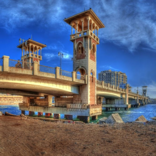Mohamed Moustafa Photo 13