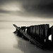 Alex Wise Photo 38