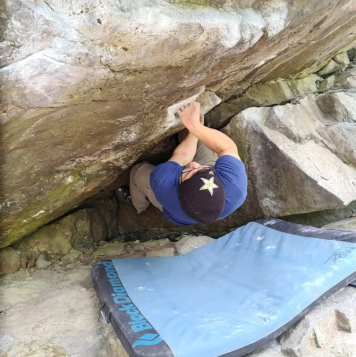 Dan Trinh Photo 11