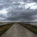 Edwin Noyes Photo 1