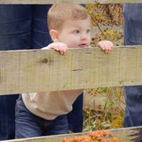 Mary Plumb Photo 23