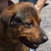 Amy Briscoe Photo 9