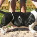 Bernard Stack Photo 10