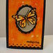 Eric Card Photo 6
