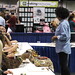 Lisa Shepard Photo 15