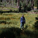 Judy Meadows Photo 13
