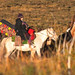 Nelson Summers Photo 12