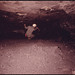 Jerry Foreman Photo 6
