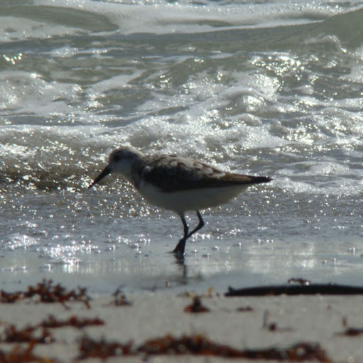 Beth Robbins Photo 32