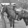 James Slusser Photo 30