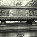 Henry Brown Photo 24