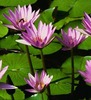 Amy Dietrich Photo 28