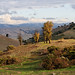 Teresa Parks Photo 23