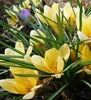 Debbie Plumb Photo 19