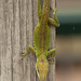 Jon Callaway Photo 16
