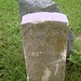 Thomas Laing Photo 5