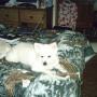Joyce Dalton Photo 23