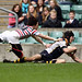 Tom Archer Photo 34