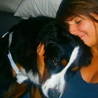 Cindy Springer Photo 16