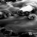 Ted Stark Photo 25